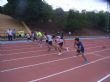 Ver foto 7