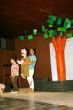 Ver foto 5
