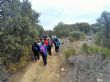 Ver foto 7