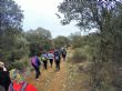 Ver foto 8