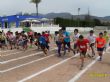 Ver foto 14