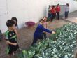 La comunidad educativa del CEIP "La Cruz" pone en marcha el proyecto pedagógico "Huerto Escolar Ecológico" recolectando su primera cosecha - Foto 1