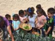 La comunidad educativa del CEIP "La Cruz" pone en marcha el proyecto pedagógico "Huerto Escolar Ecológico" recolectando su primera cosecha - Foto 10