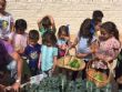 La comunidad educativa del CEIP "La Cruz" pone en marcha el proyecto pedagógico "Huerto Escolar Ecológico" recolectando su primera cosecha - Foto 9