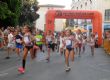Un total de 231 atletas participaron en la Carrera Popular 