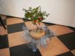 Ver foto 2