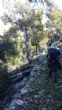 Una treintena de personas participaron en la jornada de senderismo por la Senda del Piojo (Sierra Espuña), enmarcada en el programa organizado por la Concejalía de Deportes  - Foto 50