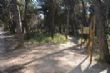 Una treintena de personas participaron en la jornada de senderismo por la Senda del Piojo (Sierra Espuña), enmarcada en el programa organizado por la Concejalía de Deportes  - Foto 85