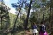 Una treintena de personas participaron en la jornada de senderismo por la Senda del Piojo (Sierra Espuña), enmarcada en el programa organizado por la Concejalía de Deportes  - Foto 92