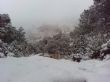 Ver foto 1