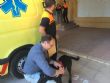 Ver foto 18