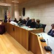 Ver foto 12