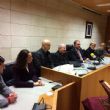 Ver foto 15
