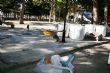 Ver foto 2