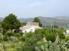 Ver foto 2 - Huerta