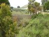 Ver foto 9 - Huerta