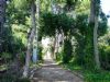Ver foto 13 - L�bor