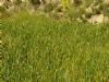 Ver foto 14 - L�bor