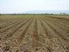 Ver foto 17 - L�bor