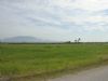Ver foto 30 - Paret�n