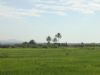 Ver foto 28 - Paret�n