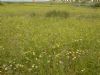Ver foto 29 - Paret�n