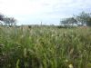 Ver foto 31 - Paret�n