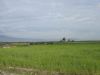 Ver foto 34 - Paret�n