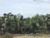 Ver foto 35 - Paret�n