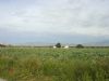 Ver foto 36 - Paret�n