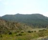 Ver foto 83 - Vi�as de L�bor