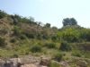 Ver foto 88 - Vi�as de L�bor