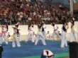 El Club Taekwondo Totana clausura temporada con una exhibición de sus más de 80 alumnos en el Pabellón de Deportes "Manolo Ibáñez" - Foto 1