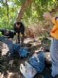 Realizan una actividad comunitaria de sensibilización medioambiental en el barrio Triptolemos mediante la recogida voluntaria de residuos - Foto 6