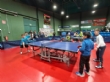 Gran actuación de los equipos totaneros de Tenis de Mesa del CES La Milagrosa en la Jornada Sur Escolar, celebrada en Cartagena - Foto 13