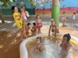 Ver foto 24