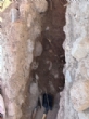 Ver foto 10