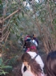 Se celebra la primera jornada de Senderismo dentro del programa de Deporte Escolar, con la colaboraci&oacute;n del Club Senderista de Totana - Foto 3
