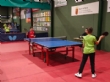 Los equipos Benjam&iacute;n, Alev&iacute;n y Cadete del Colegio La Milagrosa acceden a la Final Regional de Tenis de Mesa del Deporte Escolar - Foto 3