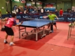 Los equipos Benjam&iacute;n, Alev&iacute;n y Cadete del Colegio La Milagrosa acceden a la Final Regional de Tenis de Mesa del Deporte Escolar - Foto 5