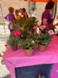 Ver foto 2