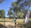 Ver foto 8