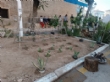 Ver foto 39
