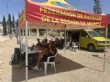 Ver foto 15