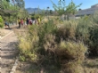 Ver foto 1