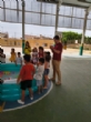 Ver foto 12