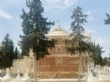Ver foto 9