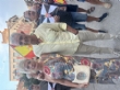 Ver foto 24