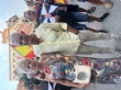 Ver foto 24