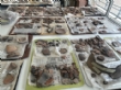 Ver foto 5